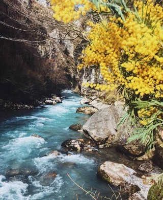 Весна горная река