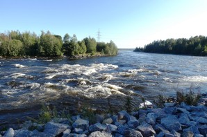 Река бурная ленинградская область