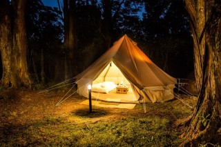 Палатка лесная