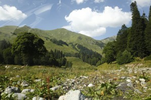 Озеро рица альпийские луга