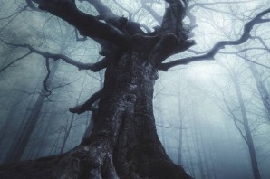 Зловещее дерево