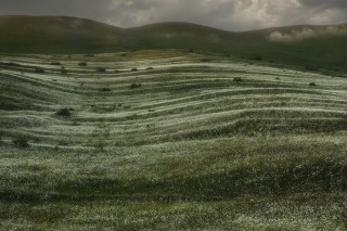 Армения холмы