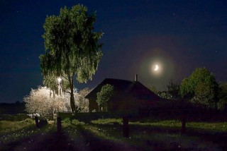 Лунная ночь в деревне