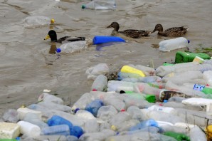 Загрязнение природы пластиком