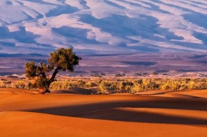 Пустыня сахель