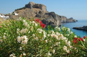 Дикая природа средиземноморья