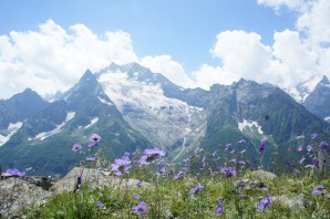 Домбай альпийские луга