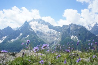 Домбай альпийские луга