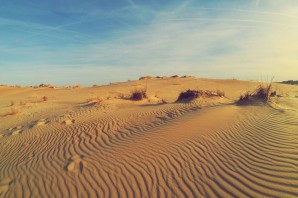 Пустыня арчединско донские пески