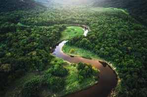 Бразилия джунгли амазонии