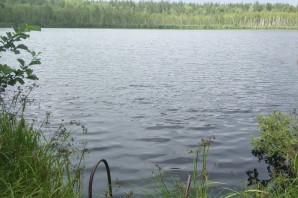 Пиявское озеро мордовия