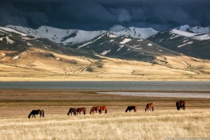 Степи киргизии
