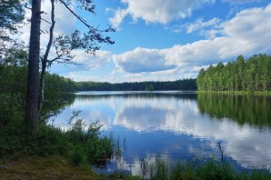 Озеро светлое ленинградская область приозерский
