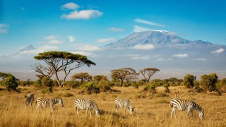 Танзания гора килиманджаро