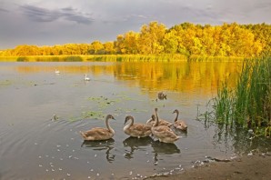 Озеро подпесочное урюпинск