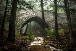Старые мосты в лесу