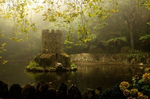 Замок в дремучем лесу