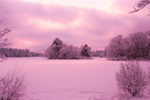 Розовый рассвет зимой