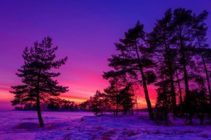 Зимний розовый закат