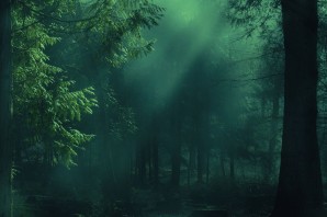 Темный туманный лес