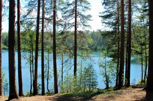 Озеро саперное ленинградская область
