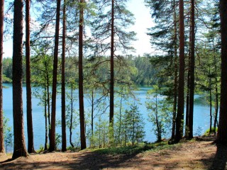 Озеро саперное ленинградская область