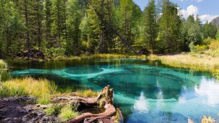 Голубое гейзеровое озеро горный алтай