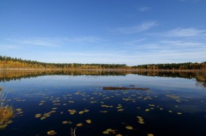 Озеро светлое ульяновская область