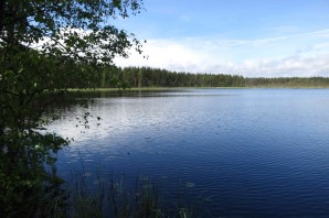 Озеро вишневское выборгский район