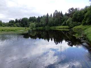 Река сить вологодская область