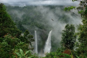 Тропические леса индокитая