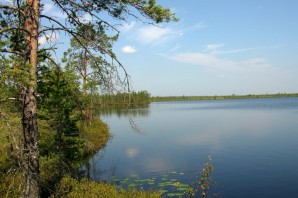 Озеро черное ленинградская область
