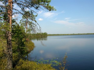 Озеро черное ленинградская область