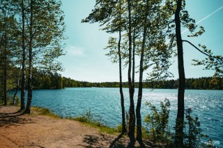 Пасторское озеро ленинградская область
