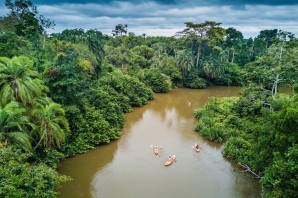 Тропические леса конго