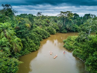 Тропические леса конго