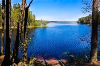 Озеро ужинское псковской области