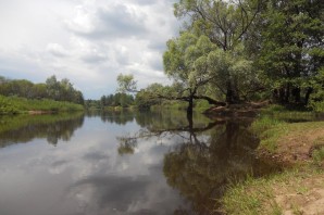 Река гусь рязанская область