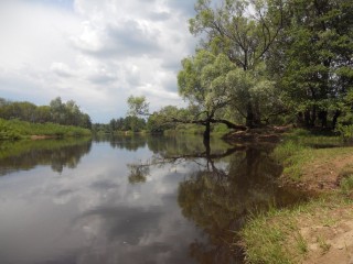 Река гусь рязанская область