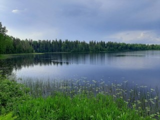 Соменка крестецкий район озеро