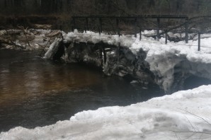Река снежеть брянской области