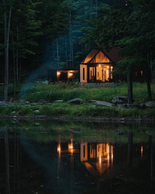 Тихий домик в лесу