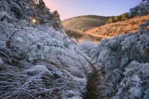 Крымский зимний лес