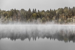 Туманное озеро ленинградская область