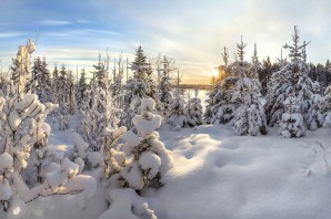 Зимняя природа севера