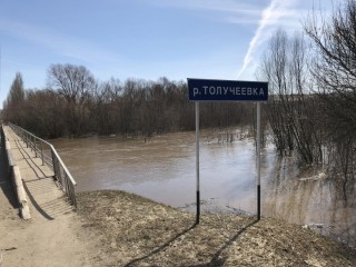 Река толучеевка воронежской области