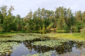 Озера нижегородского края