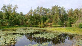 Озера нижегородского края