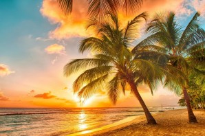 Лето море пальмы