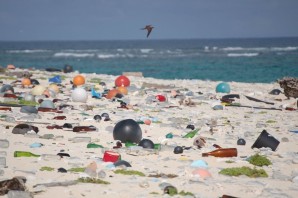Остров хендерсон мусор